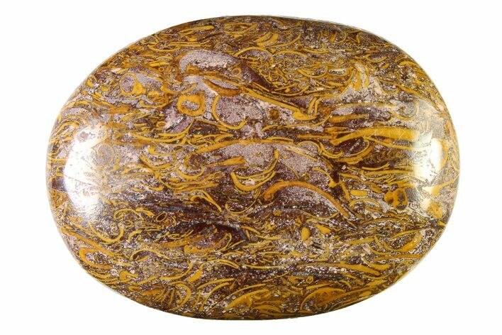 Polished Miriam Stone Palm Stone - India #342296
